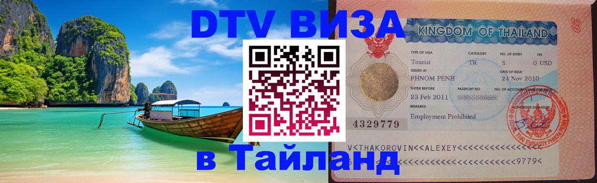 Оформление DTV визы под ключ: стоимость и тарифы, только загранпаспорт - 19.11.2025 